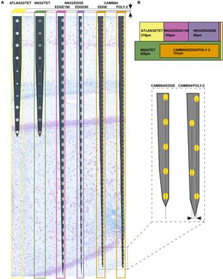 Multichannel Silicon Probes for Awake Hippocampal Recordings in Large Animals